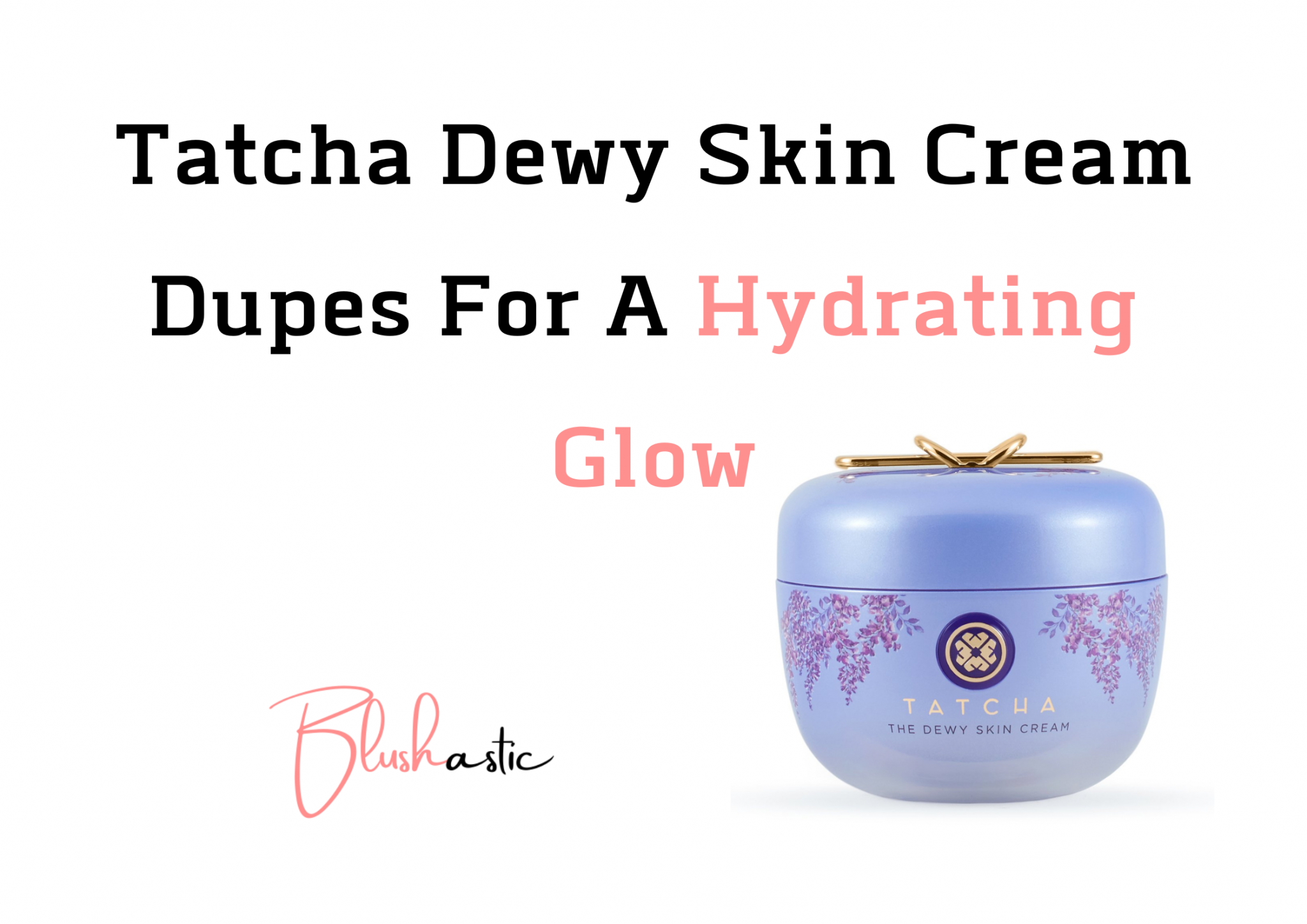 11 Best Tatcha Dewy Skin Cream Dupes 2023 - Blushastic