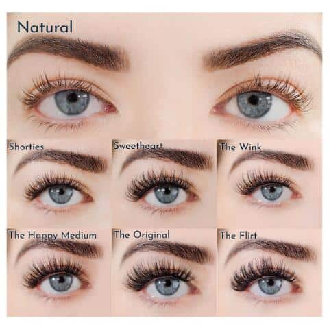 flutter habit lashes