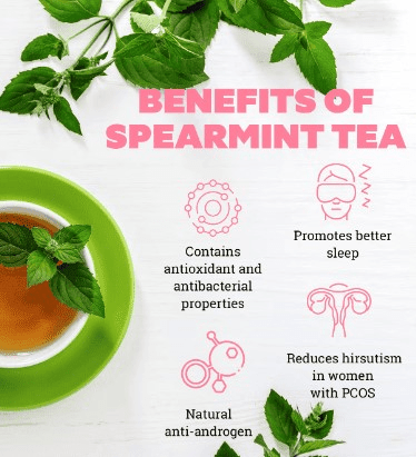 spearmint tea benefits 